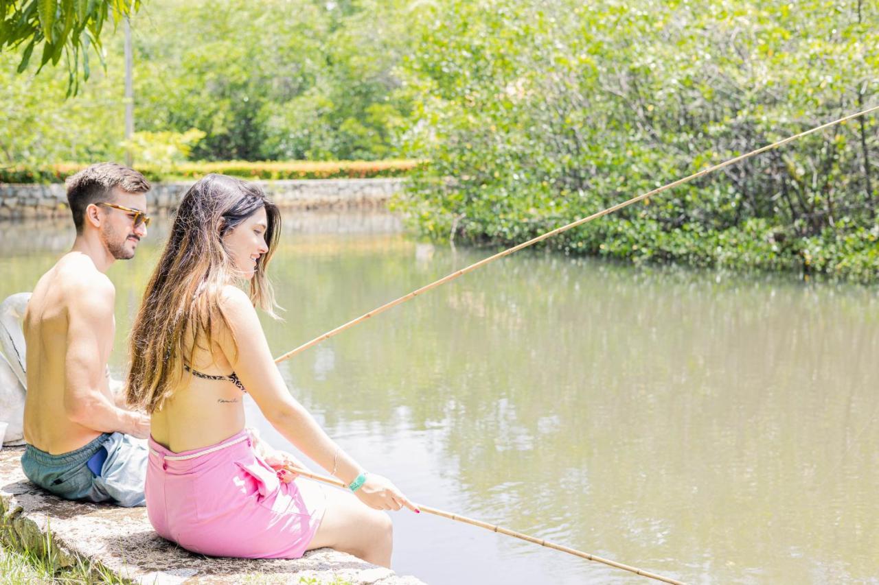 ג'פראטינגה Eco Pousada Paraiso Dos Coqueirais מראה חיצוני תמונה