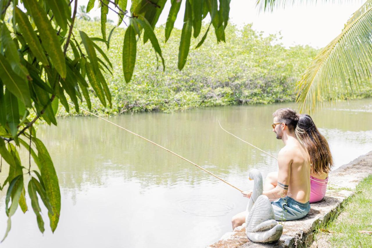 ג'פראטינגה Eco Pousada Paraiso Dos Coqueirais מראה חיצוני תמונה