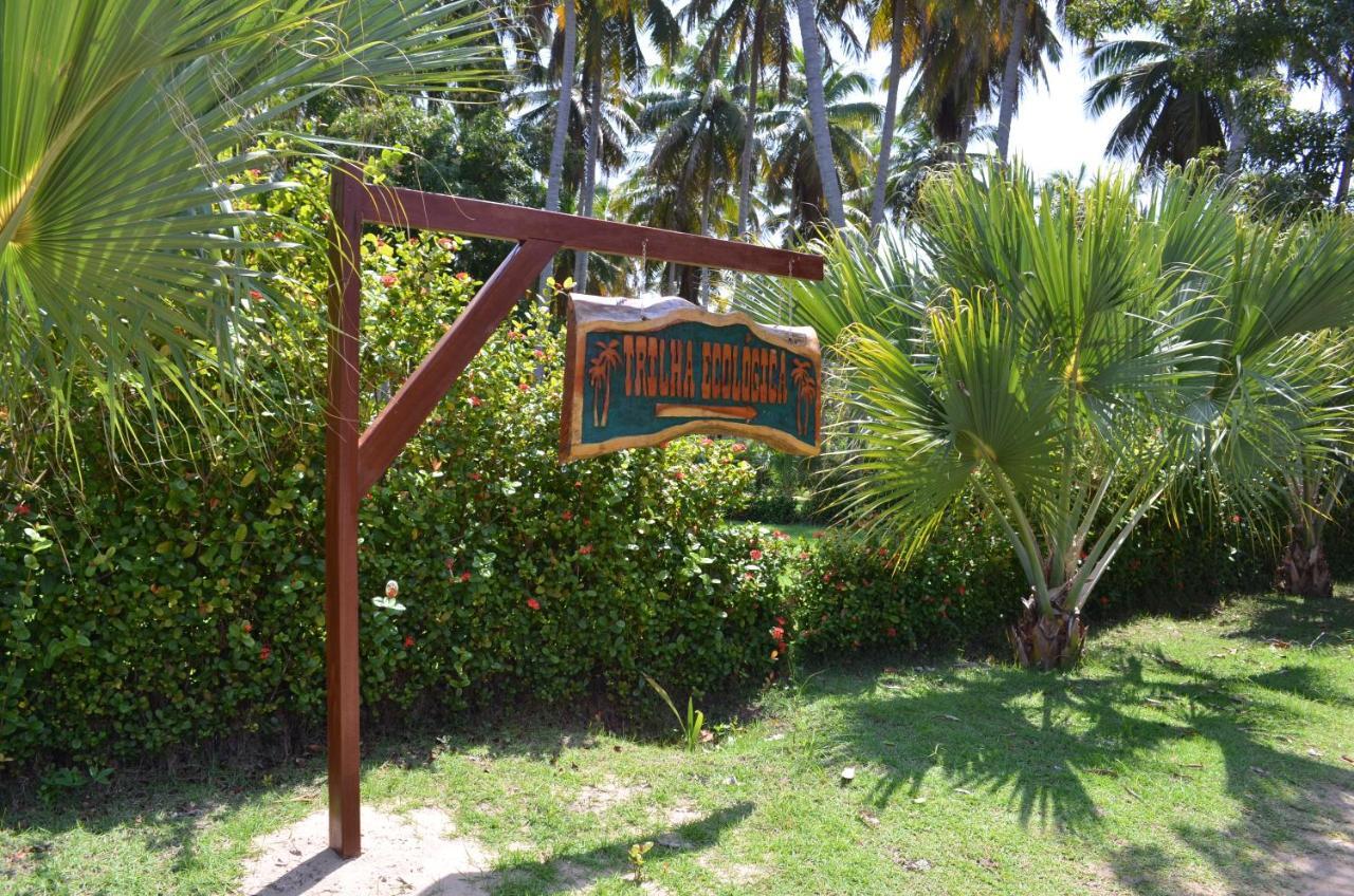 ג'פראטינגה Eco Pousada Paraiso Dos Coqueirais מראה חיצוני תמונה